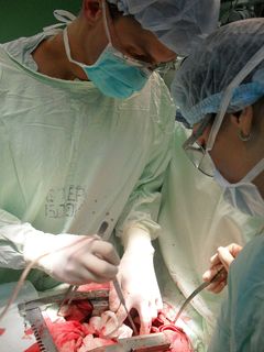 Сердечно-сосудистая хирургия